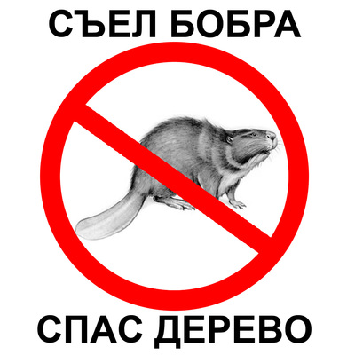 Бобр мем